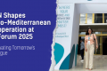 The visual presents the title of the article on the left side, which is "Cultivating Tomorrow's Dialogue: ESN Shapes Euro-Mediterranean Cooperation at ALForum 2025". The right side shows the photo of Emna Memmi, Liaison Officer for ESN in Africa and the Middle East, who attended the AlForum 2025
